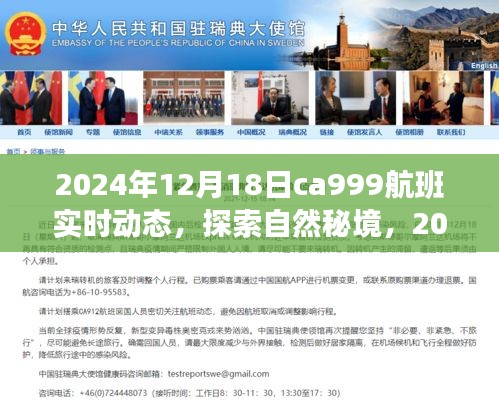 探索自然秘境，揭秘CA999航班實時動態(tài)與奇妙之旅