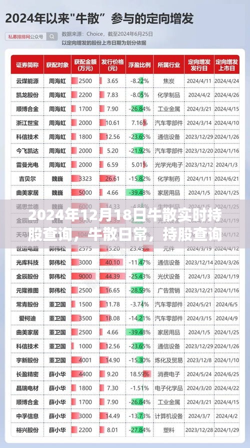 牛散日常揭秘，持股查詢背后的溫情故事與牛散實(shí)時(shí)動態(tài)追蹤（2024年12月18日）