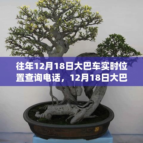 技術(shù)革新與出行變革，追溯大巴車定位查詢熱線的發(fā)展歷程