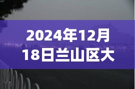 神秘面紗