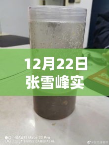 張雪峰老師12月22日實(shí)時(shí)動態(tài)報(bào)名指南，適合初學(xué)者與進(jìn)階用戶的報(bào)名步驟全解析
