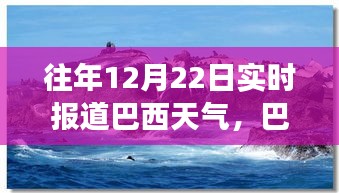 巴西暖陽(yáng)下的溫馨時(shí)光，12月22日天氣紀(jì)實(shí)