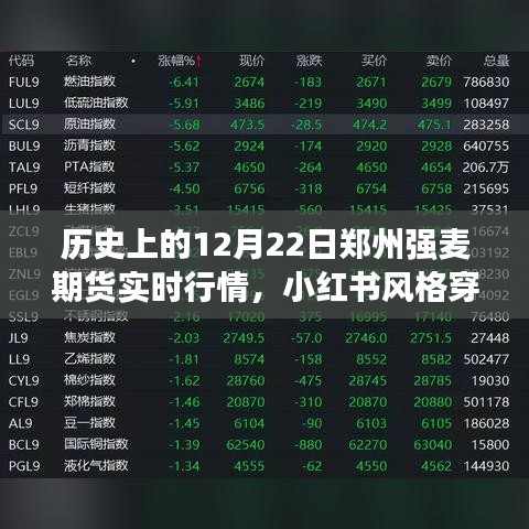 揭秘鄭州強麥期貨行情巔峰時刻，歷史上的特殊日子實時行情回顧——小紅書風格穿越時光