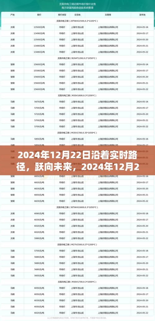 躍向未來，實(shí)時路徑下的共舞之旅——2024年12月22日展望