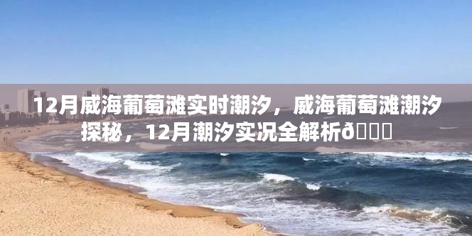 威海葡萄灘12月潮汐實況解析，潮汐探秘全攻略