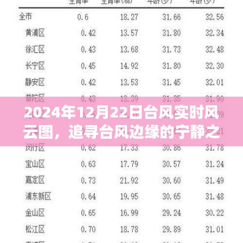 追尋臺(tái)風(fēng)邊緣的寧?kù)o之旅，2024年臺(tái)風(fēng)風(fēng)云圖揭示的奇妙啟示