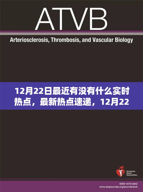 12月22日實(shí)時(shí)熱點(diǎn)速遞，火熱話題一覽