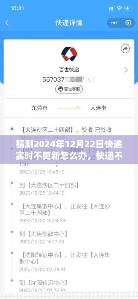 快遞實時更新故障應(yīng)對指南，快遞不更新？日常冒險之旅中的溫馨解決方案