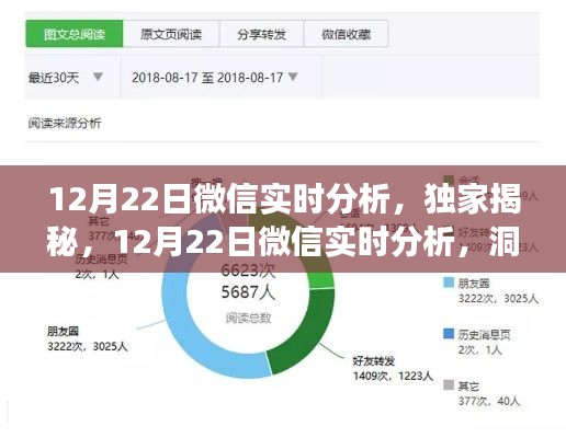 獨家揭秘，微信實時分析洞察社交趨勢，12月22日數(shù)據(jù)深度解讀