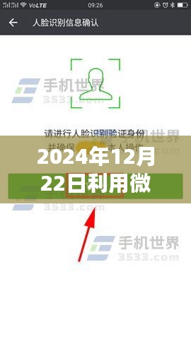 微信實(shí)時(shí)輸入數(shù)據(jù)庫(kù)操作指南，從初學(xué)者到進(jìn)階用戶(hù)的全面指南（2024年12月22日更新）