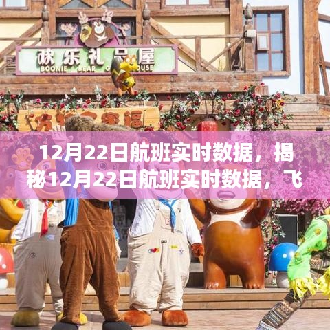 揭秘航班實時數(shù)據(jù)，科技視角下的飛行之旅洞察（12月22日）