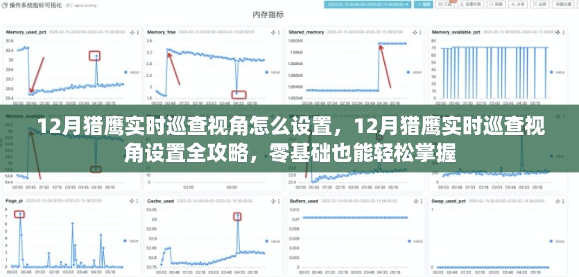 12月獵鷹實(shí)時(shí)巡查視角設(shè)置攻略，零基礎(chǔ)也能輕松掌握