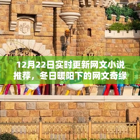 冬日暖陽下的溫馨網(wǎng)文奇緣，實時更新小說推薦