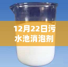擇善而從 第4頁