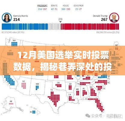 揭秘美國選舉風(fēng)云，巷弄深處的投票數(shù)據(jù)寶藏親歷之旅