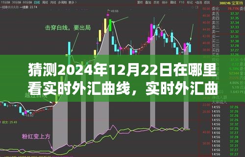 2024年12月22日實(shí)時(shí)外匯曲線預(yù)測與最佳觀看平臺(tái)深度評測