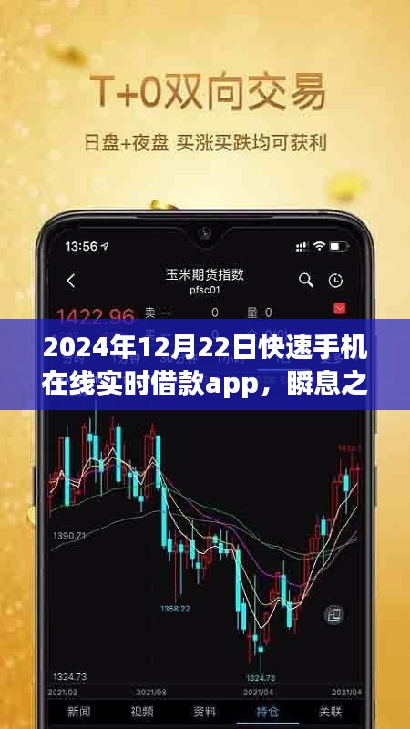 瞬息之間的資金流轉(zhuǎn)，2024年實(shí)時借款app的發(fā)展與影響