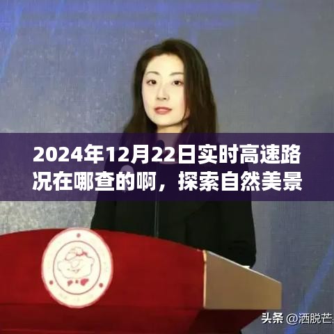探索自然美景之旅，實(shí)時(shí)高速路況查詢指南與尋找內(nèi)心平靜的旅程