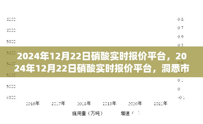 洞悉市場動態(tài)，掌握行業(yè)趨勢，2024年12月22日硝酸實時報價平臺