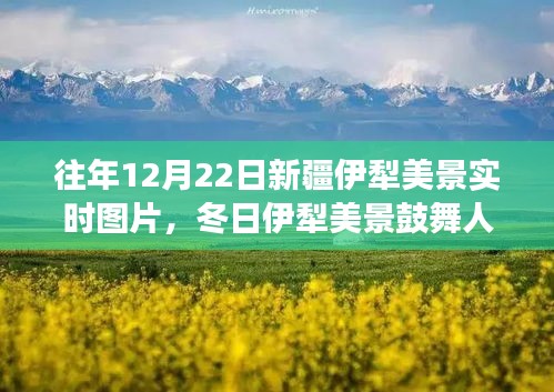冬日伊犁美景鼓舞人心，學(xué)習(xí)之旅中的自信與成就感實時圖片展示