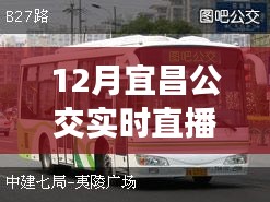 掌握出行信息必備，宜昌公交實時直播電話在線直播服務(wù)啟動