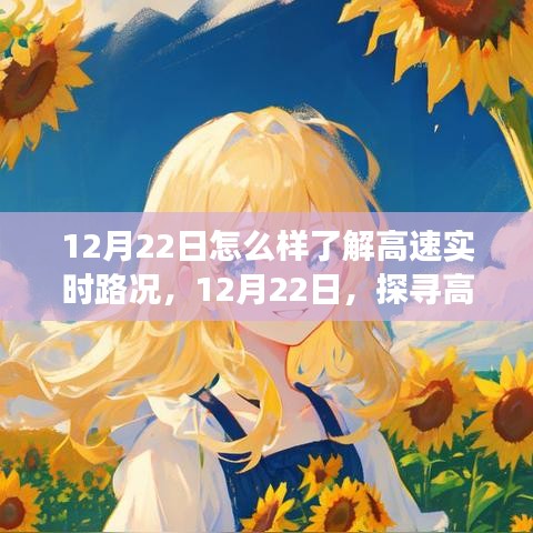 12月22日，探尋高速實時路況的洞察之旅，掌握實時路況信息！
