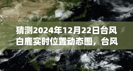 臺(tái)風(fēng)白鹿來襲，冒險(xiǎn)之旅中的自信閃耀與實(shí)時(shí)動(dòng)態(tài)圖預(yù)測學(xué)習(xí)筆記
