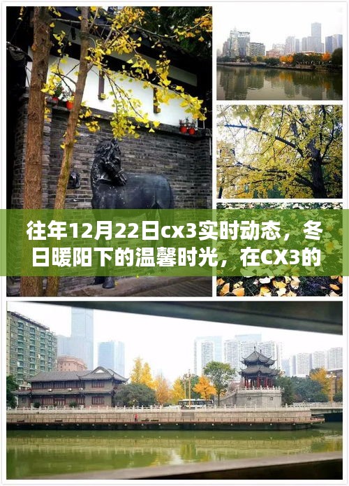 冬日暖陽下的CX3實時動態(tài)，找尋家的溫馨與愛的力量