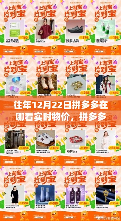 拼多多實時物價寶藏探索，探尋秘密角落的寶藏店