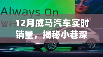 揭秘威馬汽車銷量背后的秘密故事，小巷深處的風(fēng)景與隱藏式特色小店，實(shí)時(shí)銷量分析十二月篇