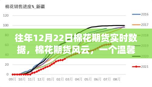 往年12月22日棉花期貨風(fēng)云，實時數(shù)據(jù)與溫馨交易日常故事
