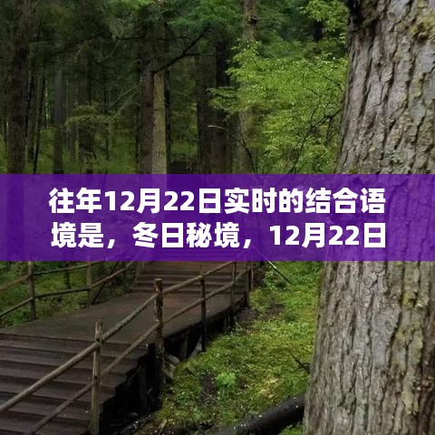 冬日秘境，與自然共舞的日子，12月22日的魔法時刻