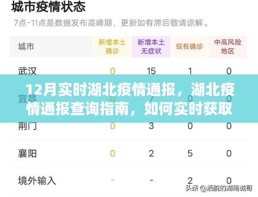 湖北疫情實(shí)時通報(bào)指南，初學(xué)者與進(jìn)階用戶查詢指南及獲取最新通報(bào)信息的方法