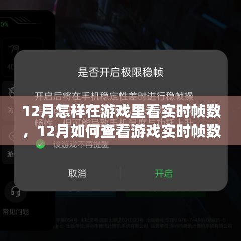 詳細(xì)步驟指南，如何查看游戲?qū)崟r(shí)幀數(shù)（適用于十二月）