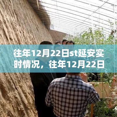 往年12月22日ST延安實時情況詳解，掌握攻略，輕松完成任務(wù)！