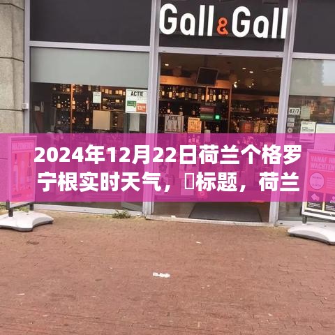 荷蘭格羅寧根實時天氣探索，追尋自然美景與心靈寧靜的奇妙之旅（2024年12月22日）