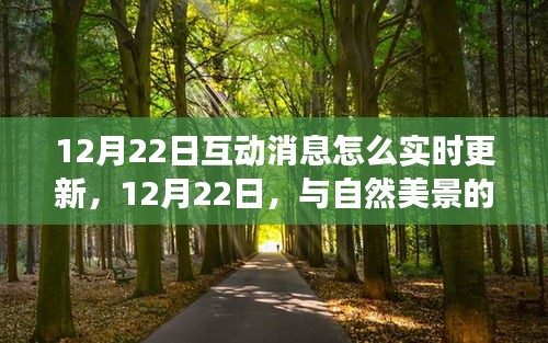 與自然美景的實(shí)時(shí)互動(dòng)之旅，如何實(shí)時(shí)更新互動(dòng)消息，追尋內(nèi)心的寧?kù)o與平和在12月22日