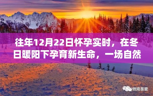 冬日暖陽下的孕育之旅，自然美景探索與孕育新生命紀實
