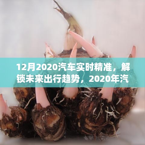 深度洞察與精準(zhǔn)預(yù)測(cè)，2020年汽車(chē)市場(chǎng)趨勢(shì)及未來(lái)出行展望