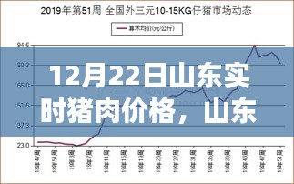 山東豬肉價格動態(tài)，聚焦12月22日市場走勢分析