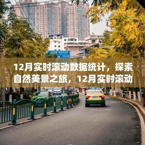 探索自然美景之旅，揭秘12月實時滾動數(shù)據(jù)統(tǒng)計背后的寧靜呼喚