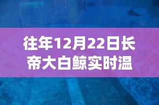 長帝大白鯨智能溫度計，實時溫度觸手可及，科技帶來生活溫暖