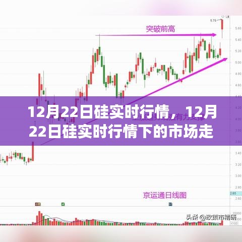12月22日硅市場實時行情解析，市場走勢、個人觀點與洞察