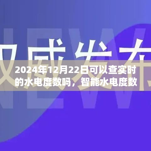 智能水電度數(shù)實(shí)時(shí)監(jiān)測(cè)體驗(yàn)報(bào)告，2024年12月22日實(shí)時(shí)水電度數(shù)查詢體驗(yàn)