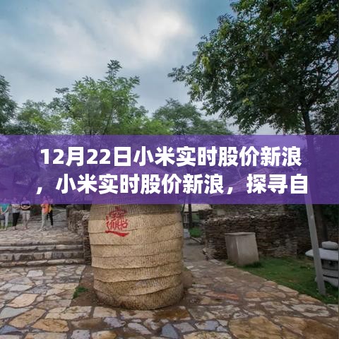 小米實時股價新浪與探尋自然美景之旅，心靈寧靜的力量