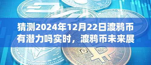 渡鴉幣未來展望，擁抱潛力，探索數(shù)字世界新紀(jì)元——至2024年12月22日的深度解析