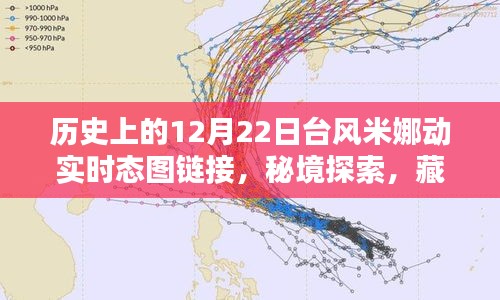 臺風(fēng)米娜動態(tài)追蹤與秘境探索，巷陌特色小店奇妙邂逅