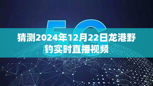 龍港野釣直播預(yù)告，探尋垂釣樂趣，2024年12月22日實(shí)時直播視頻揭曉！