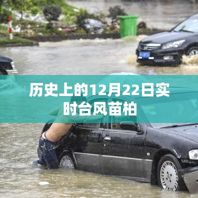 實(shí)時(shí)臺風(fēng)苗柏歷史記錄，12月22日情況概述