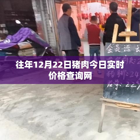 最新豬肉實時價格查詢網(wǎng)，今日更新